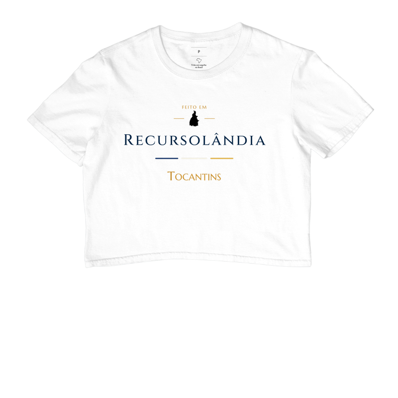 Feito em Recursolândia TO - Imagem 3