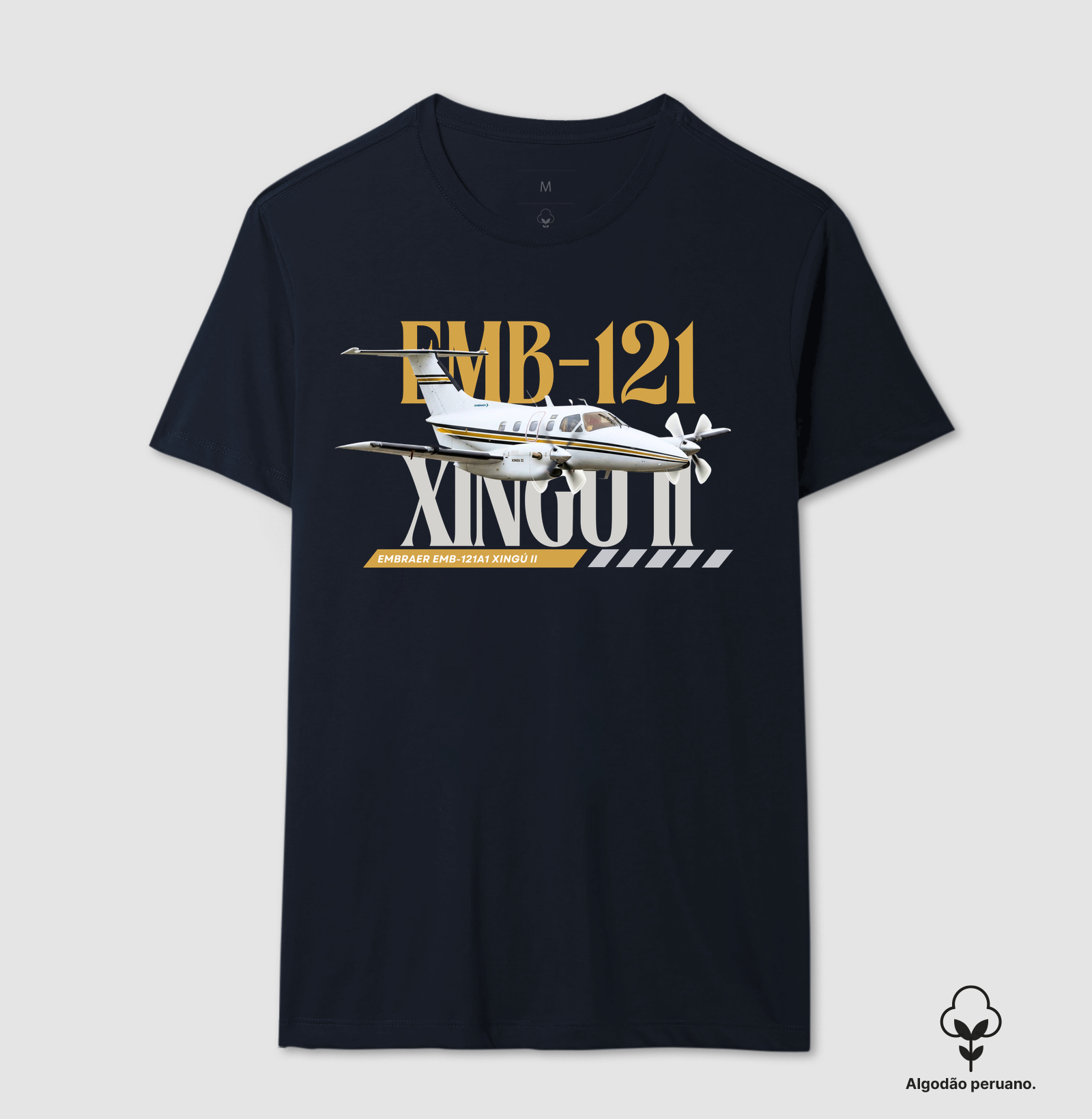 EMB121 Xingú II - PT-MCJ - Imagem 6