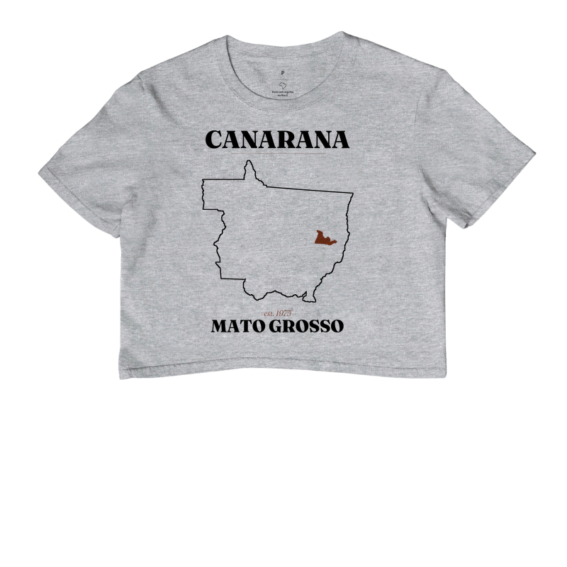 Canarana | Legado MT - Imagem 6