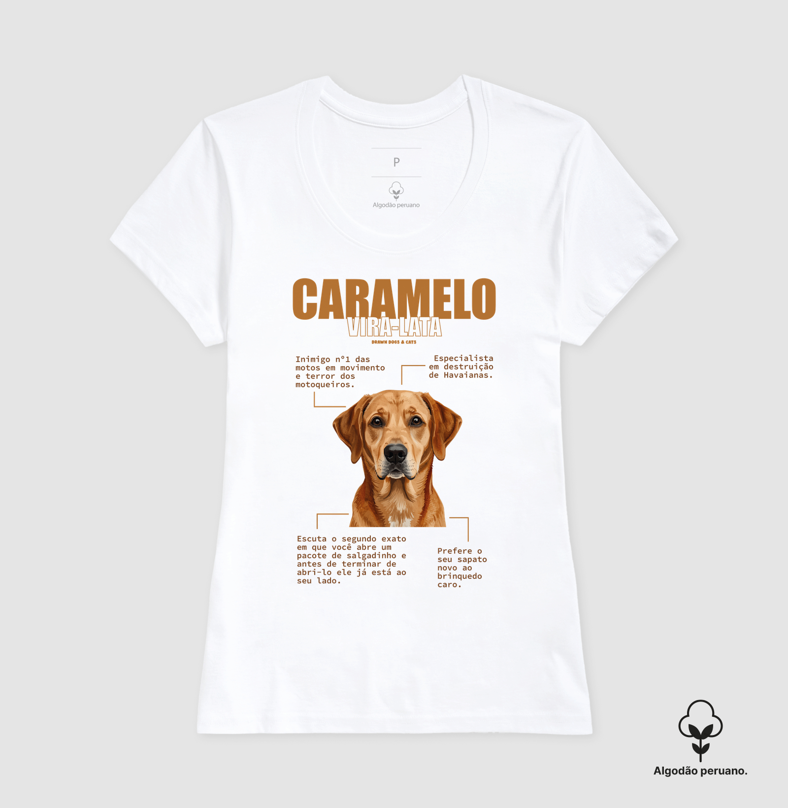 Vira-lata caramelo - Imagem 4