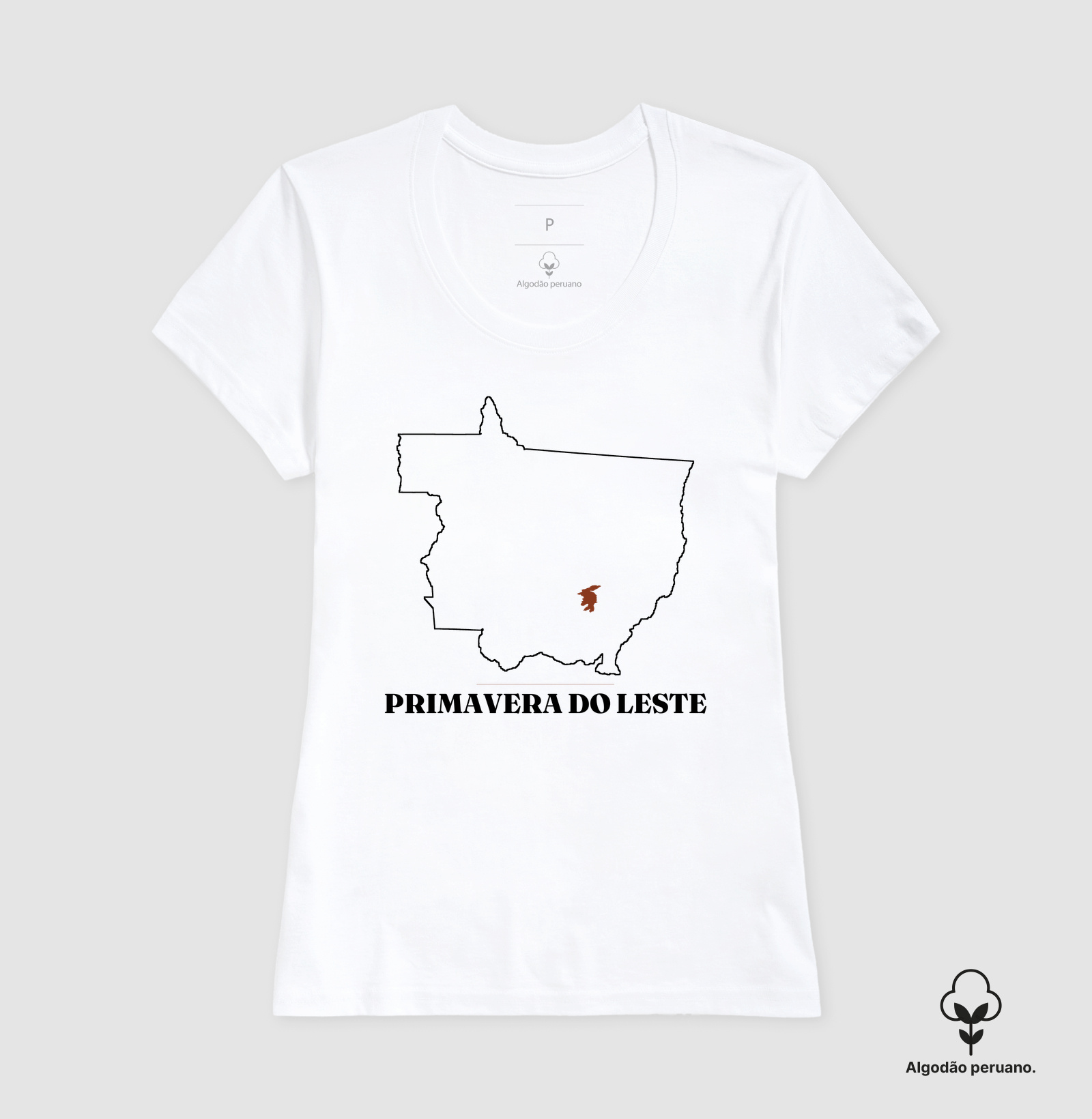 Primavera do Leste | Traço MT - Imagem 4