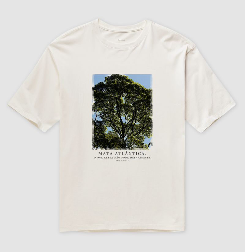 Mata Atlântica - Imagem 3