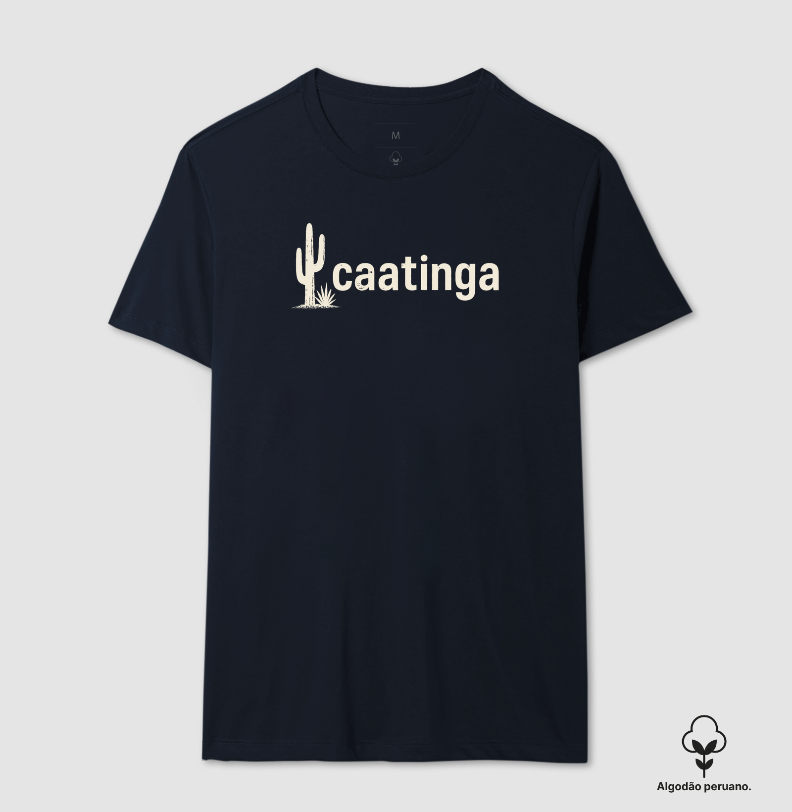 Caatinga - Imagem 9