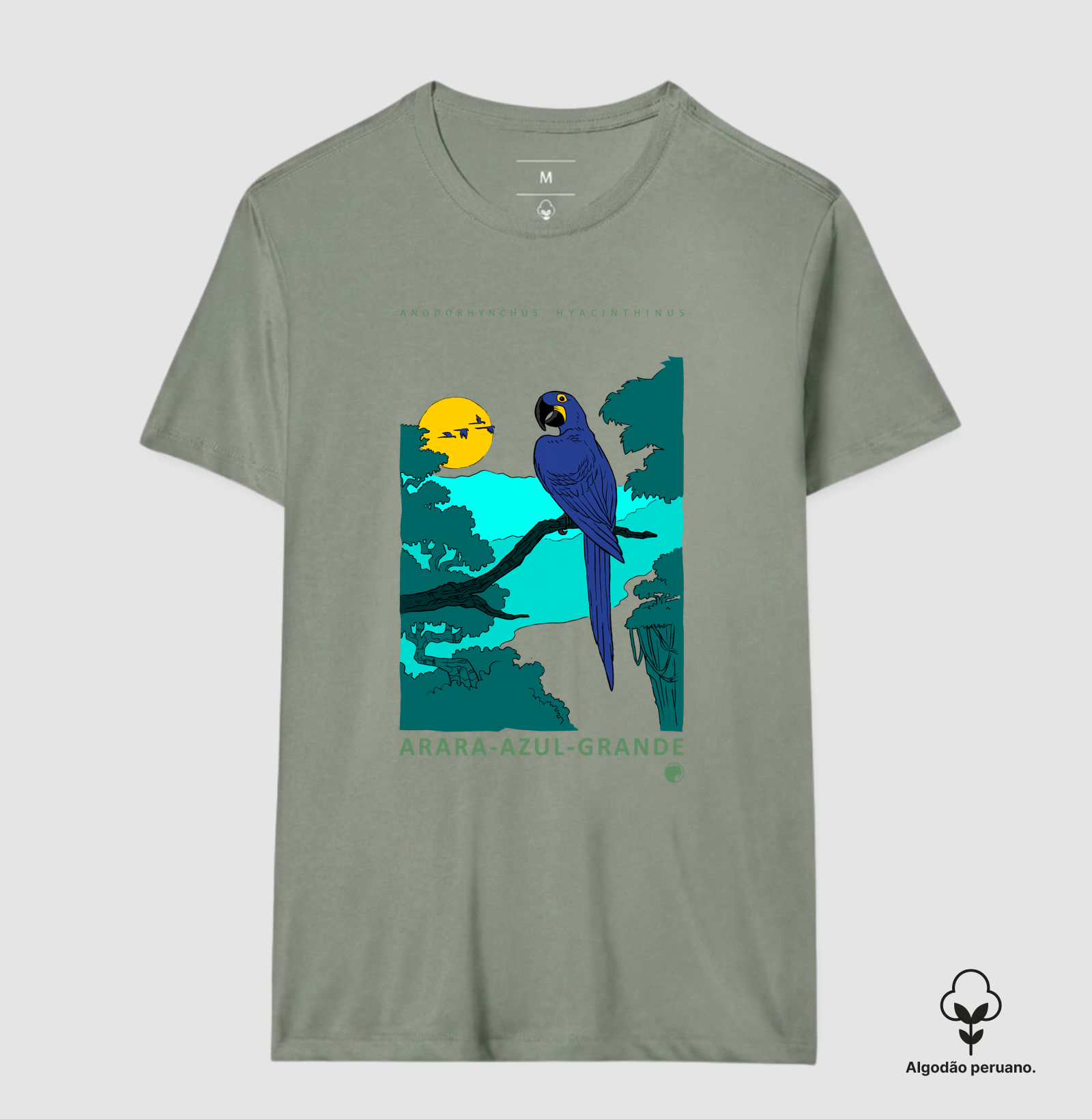 Arara-azul-grande - Imagem 9