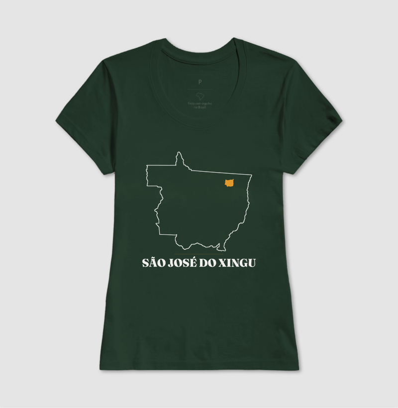 São José do Xingu | Traço MT - Imagem 13