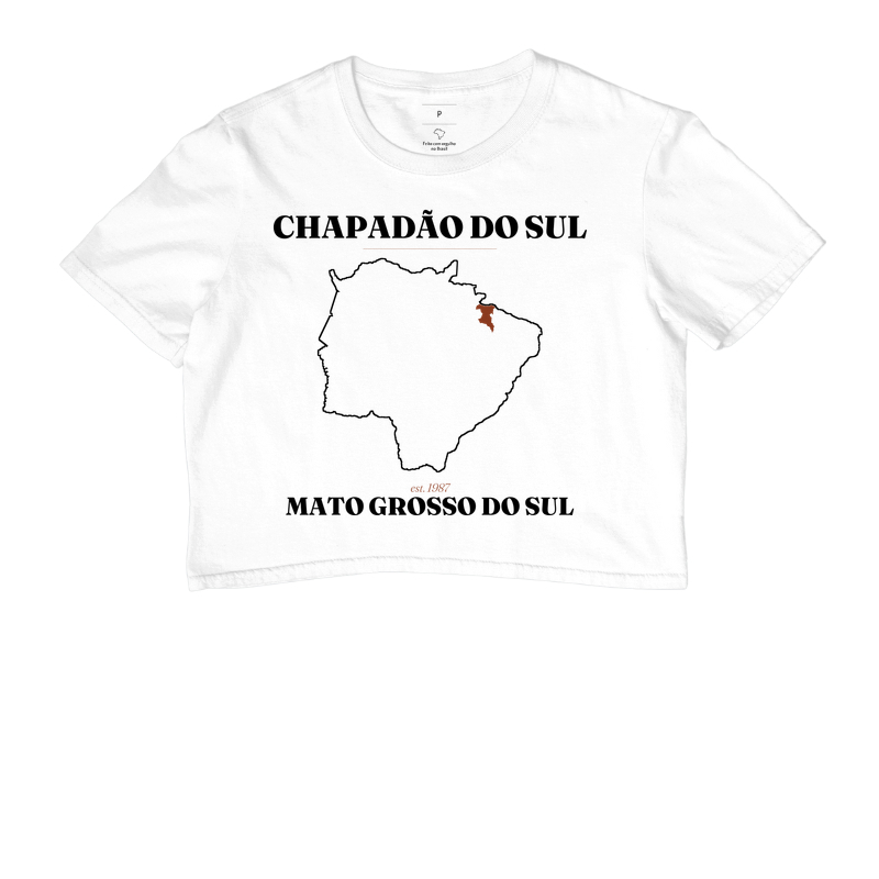 Chapadão do Sul | Legado MS - Imagem 3