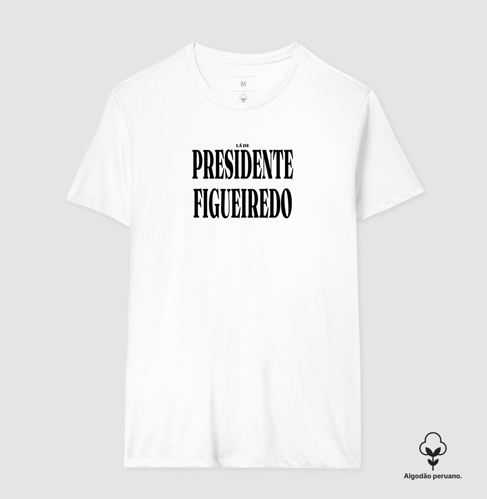 Presidente Figueiredo | Tipografia AM - Imagem 3
