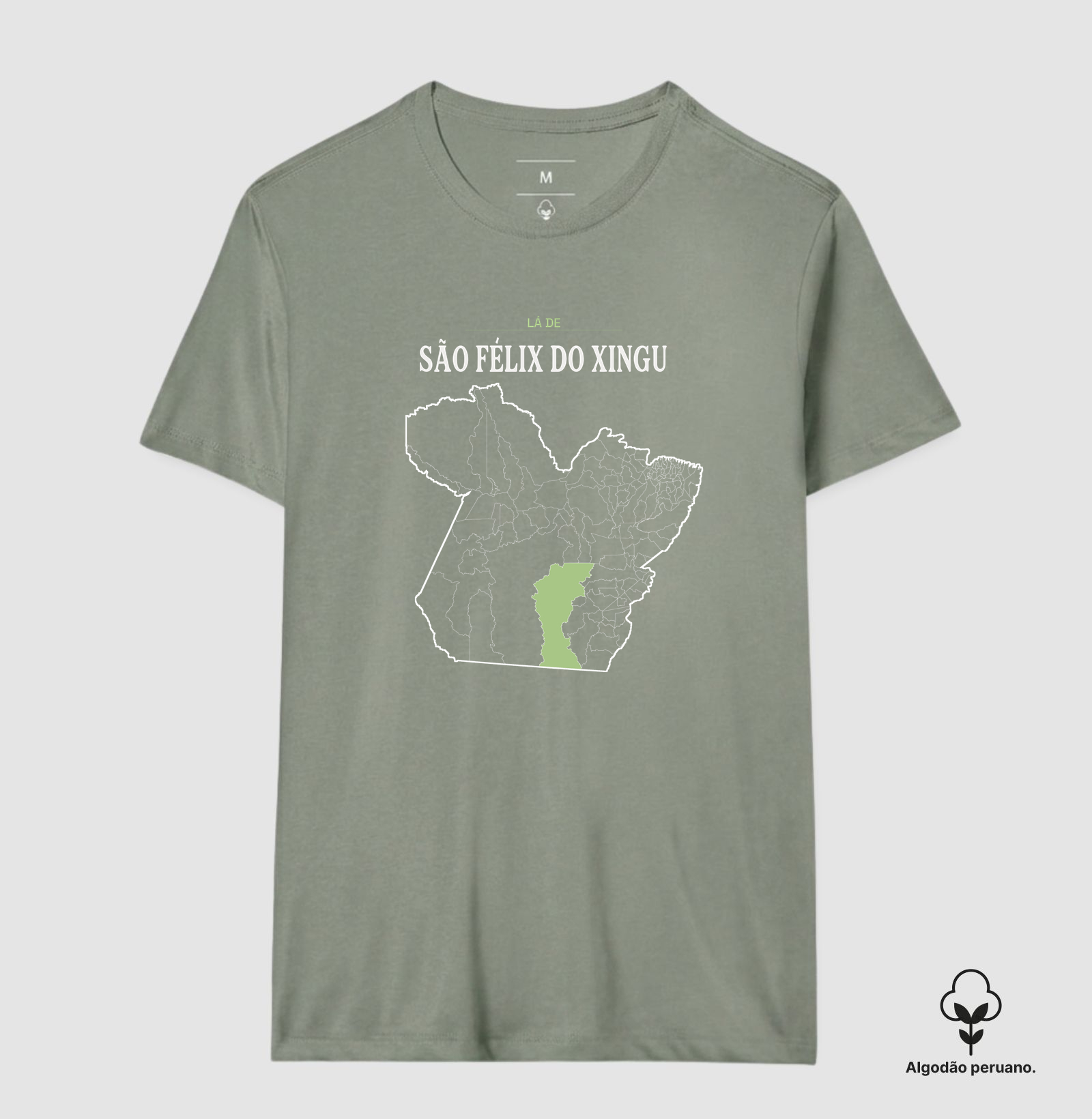 São Félix do Xingu | Território PA - Imagem 8