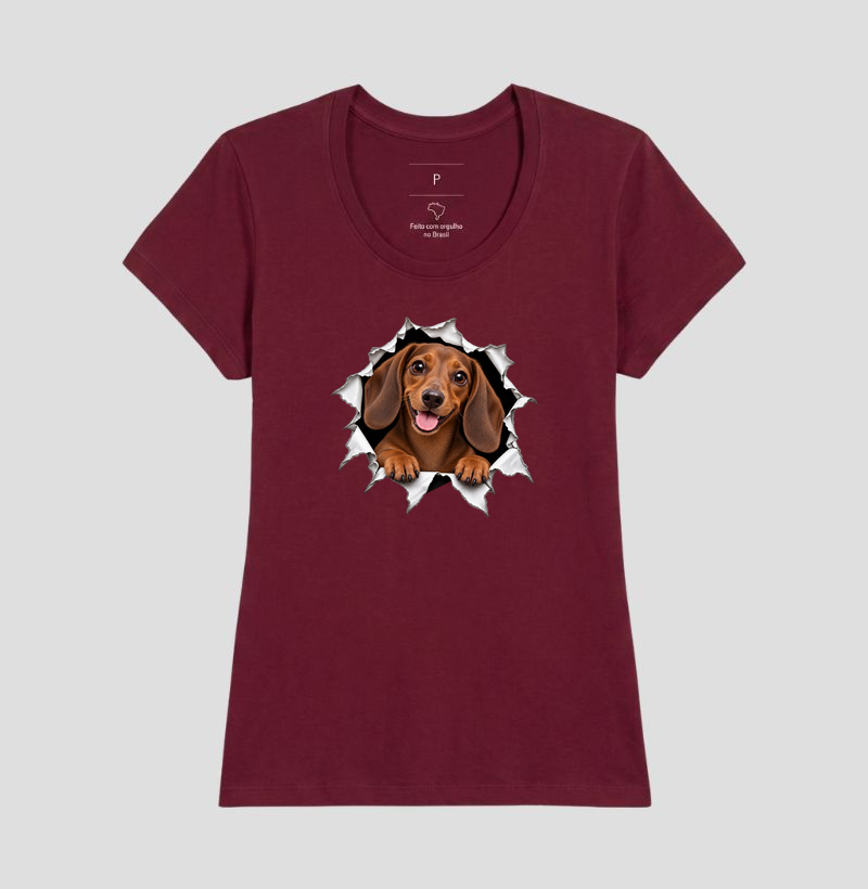 Dachshund Saindo Pelo Rasgo - Imagem 19