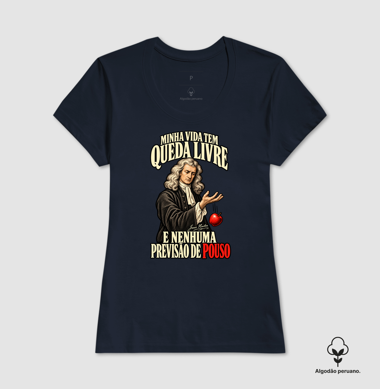 Vida tem Queda Livre - Isaac Newton - Imagem 7