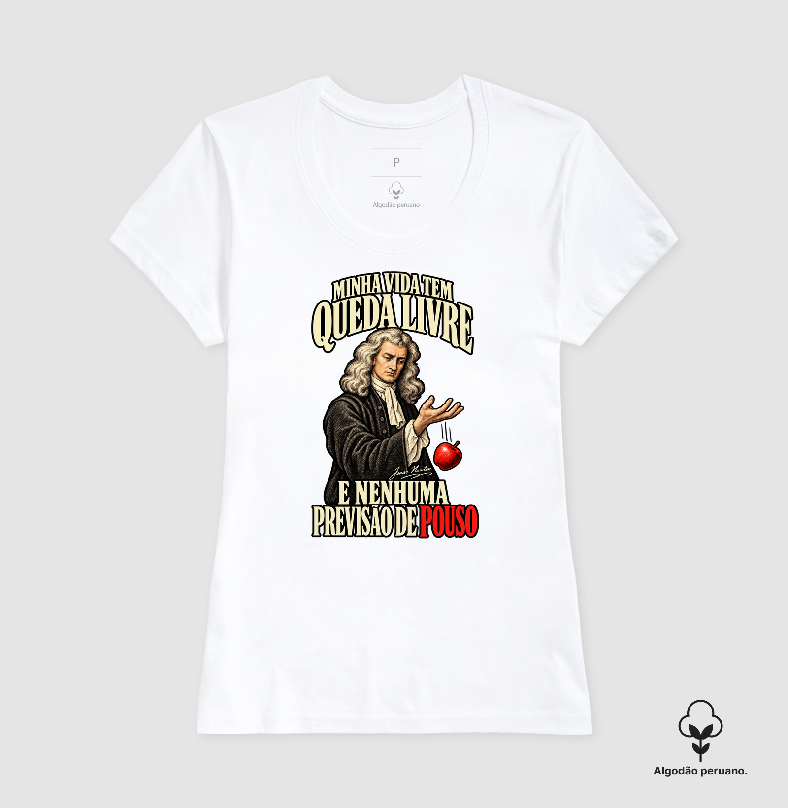 Vida tem Queda Livre - Isaac Newton - Imagem 4