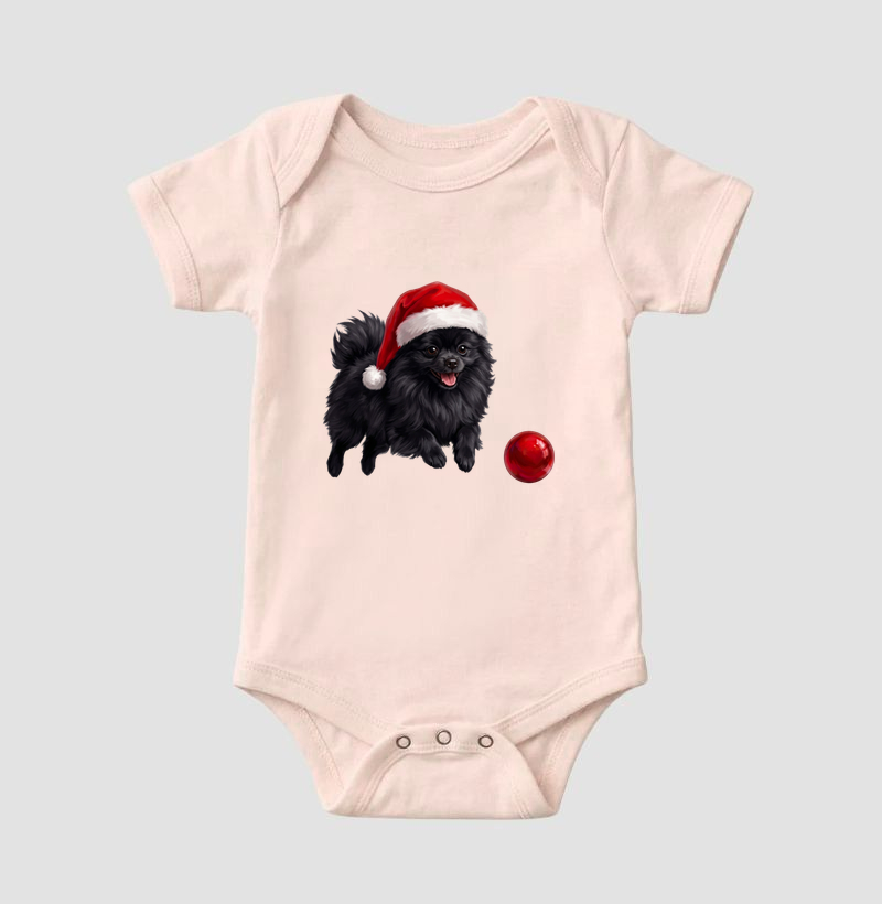 Pomerânia Preta - Natal - Imagem 5