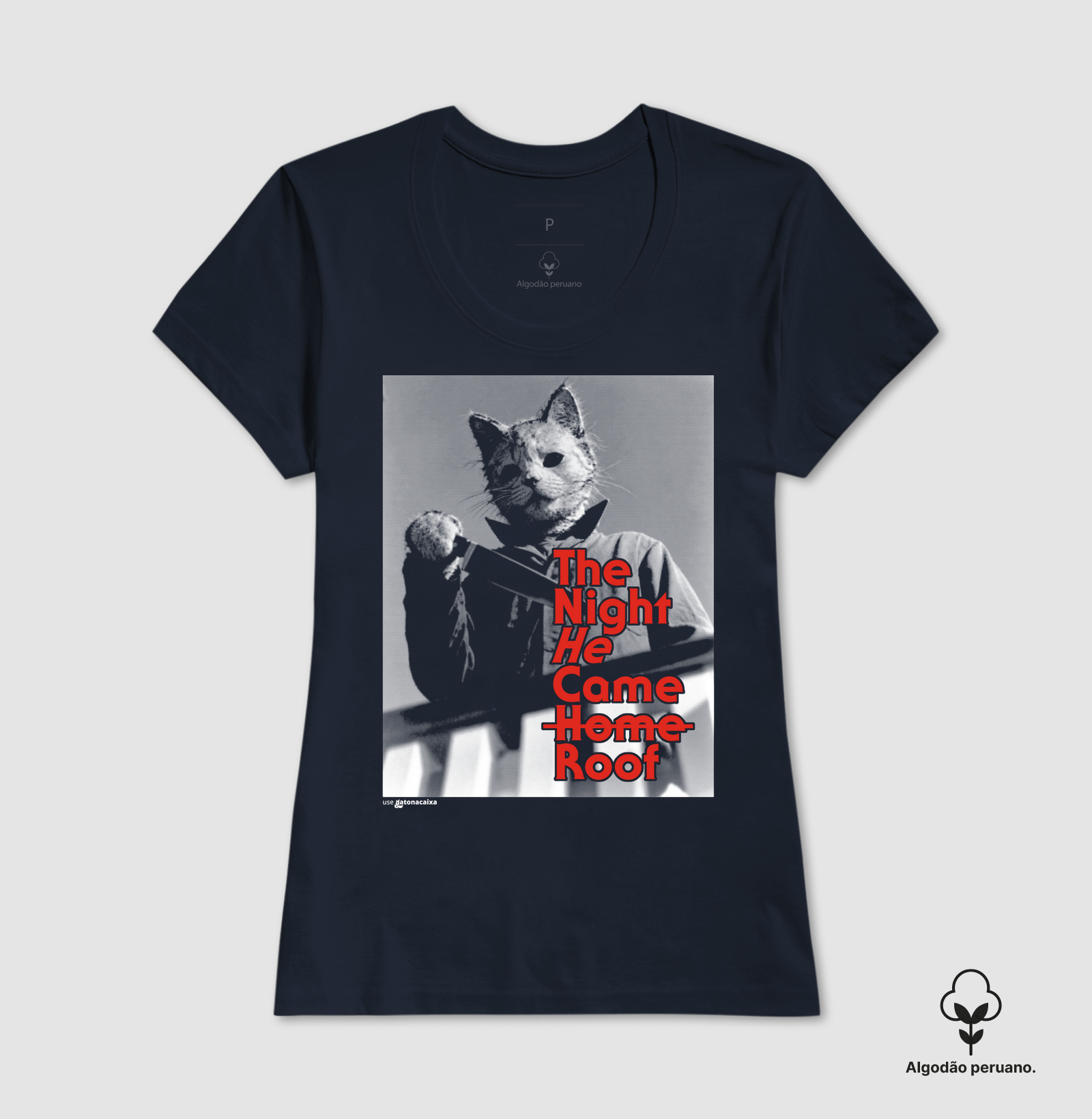 The Night He Came Roof - Imagem 8