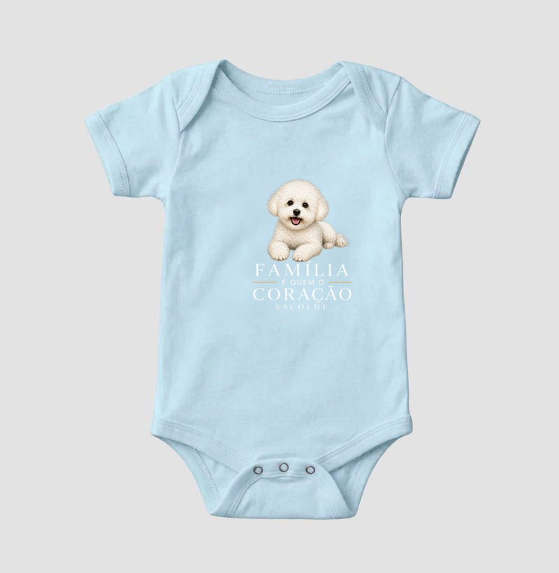 Bichon Bolonhês - Imagem 4