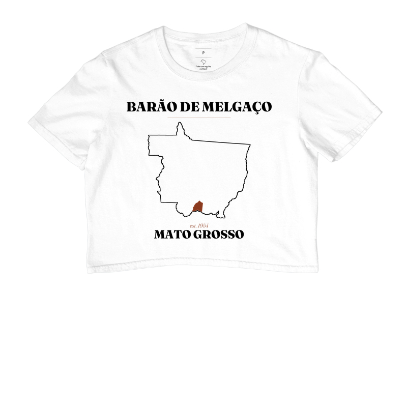 Barão de Melgaço | Legado MT - Imagem 3
