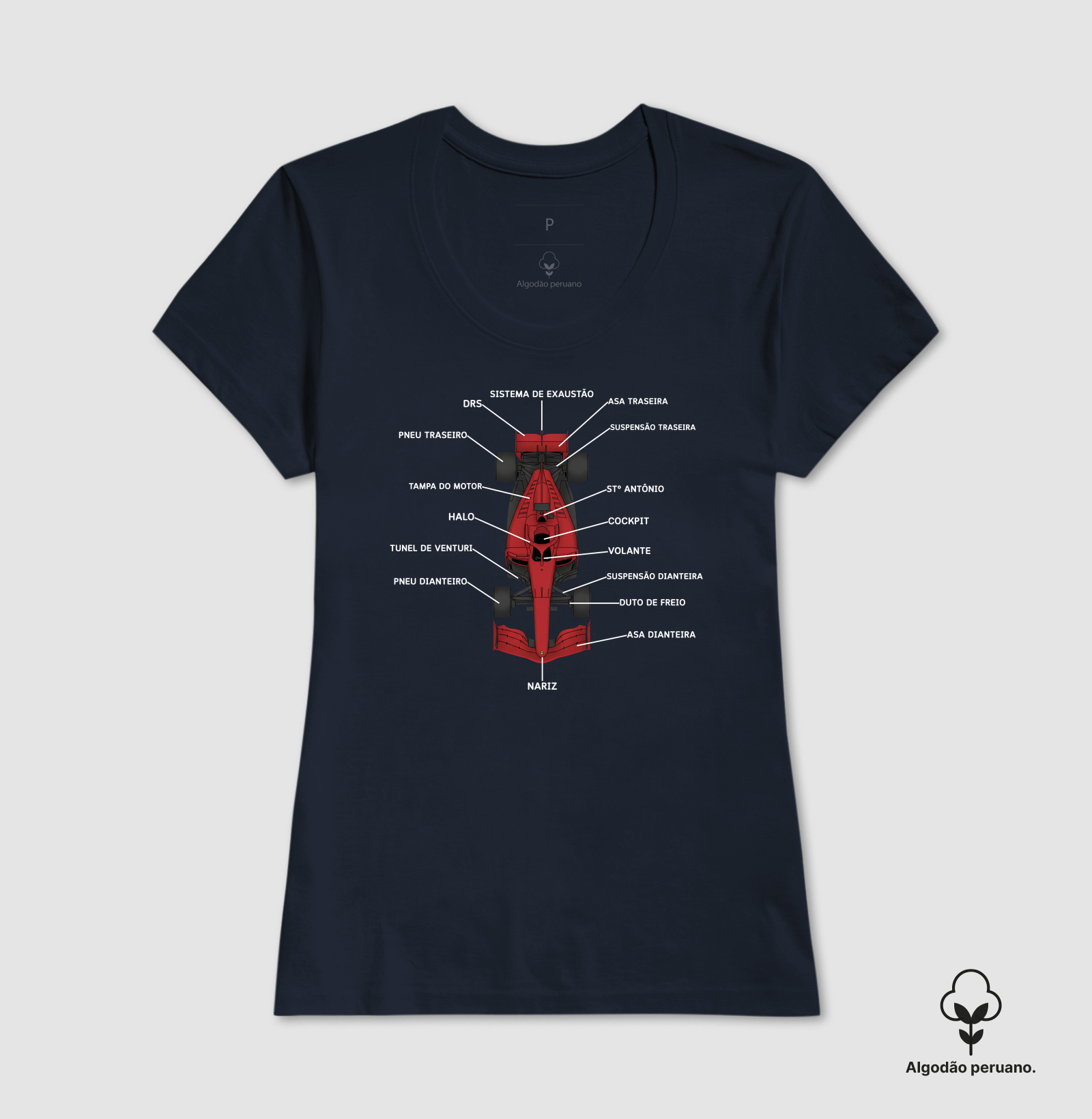 Anatomia do Fórmula 1 - Imagem 6