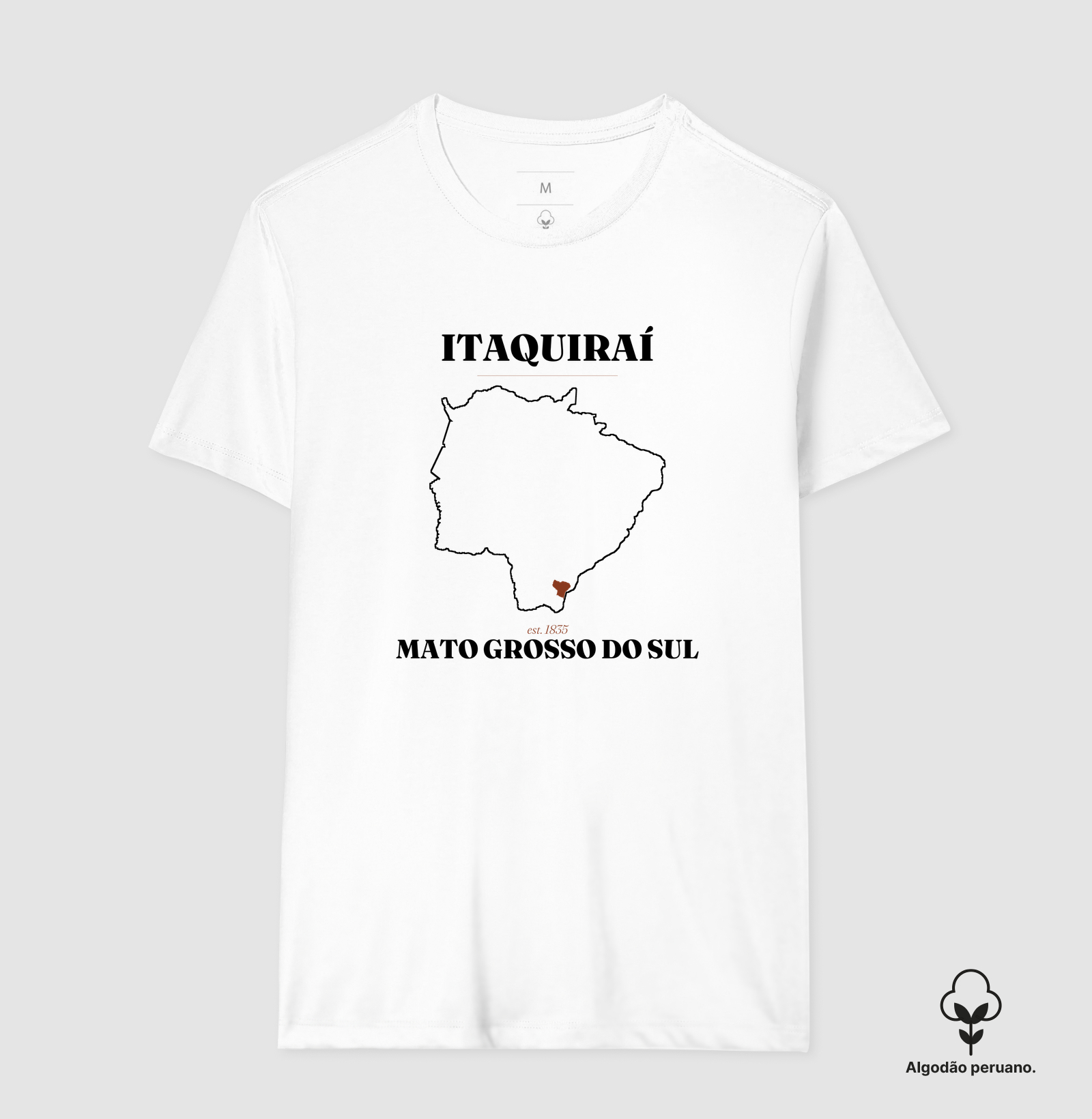 Camisa 2