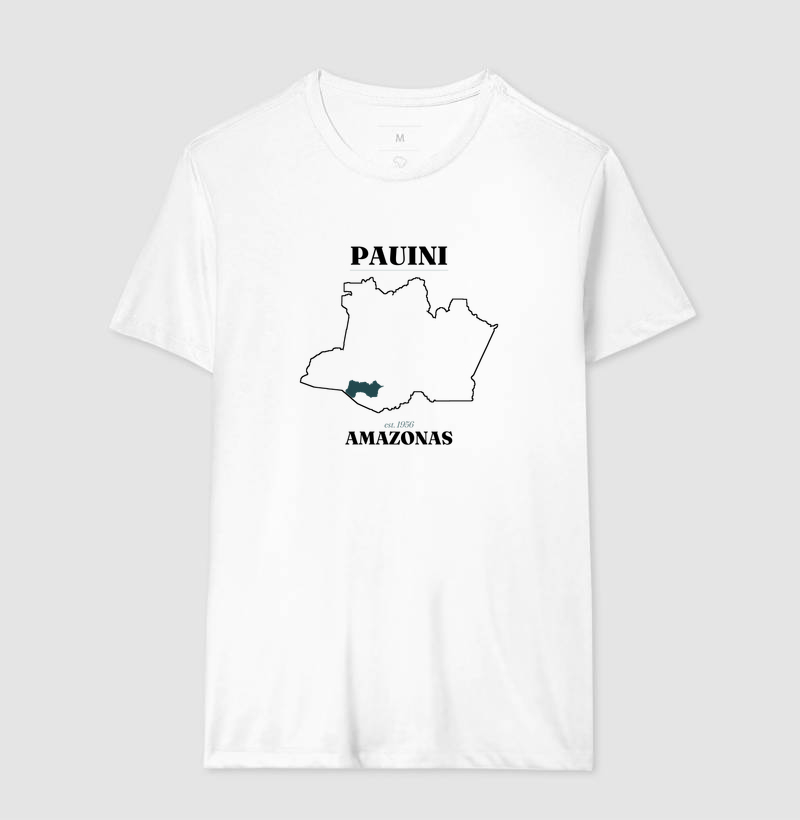Pauini | Legado AM - Imagem 4