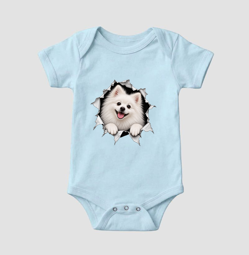 Pomerânia (Spitz Alemão) Saindo da Camisa - Imagem 4
