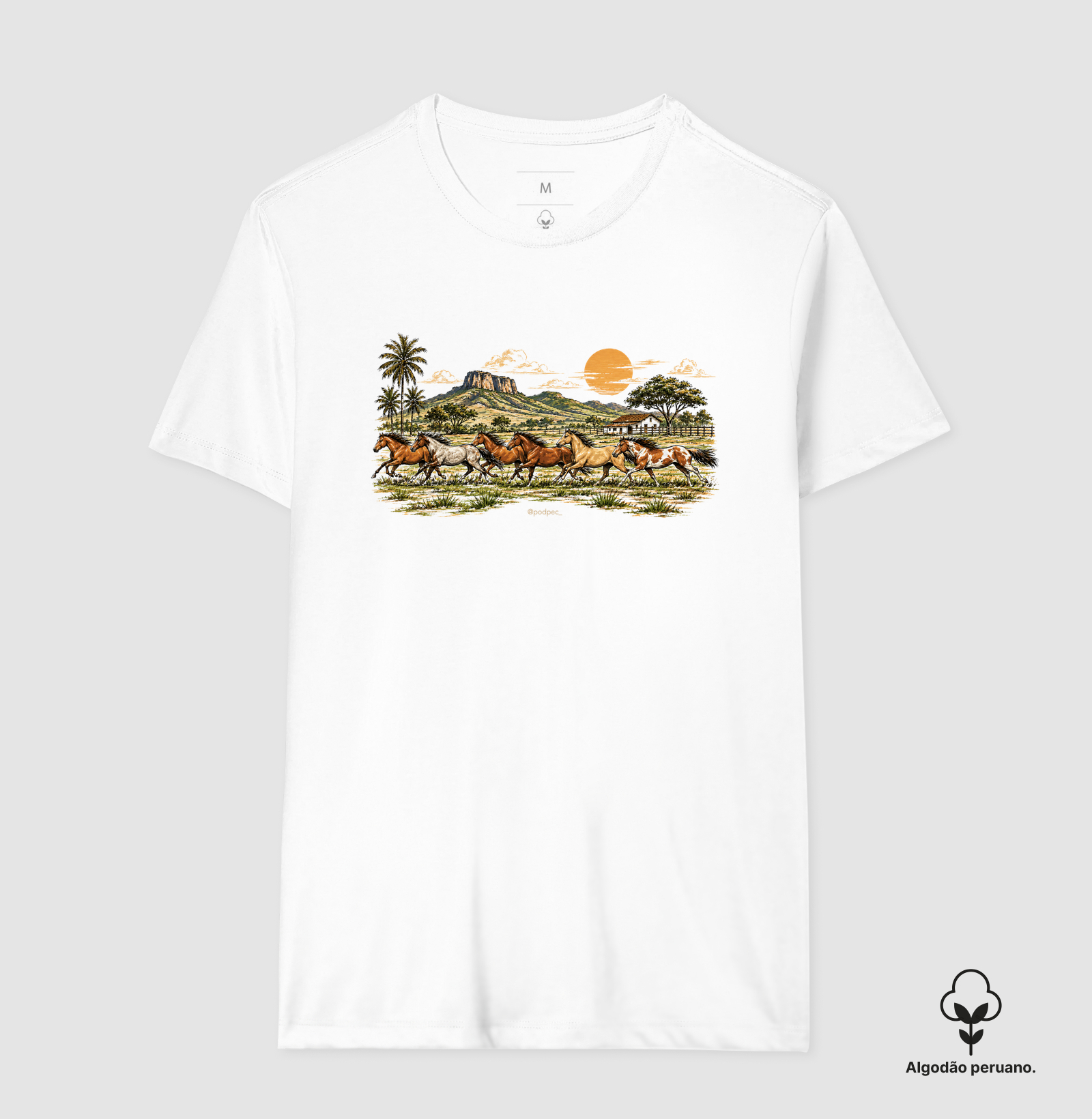 Camisa 7