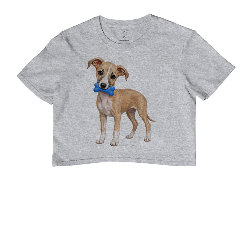 Whippet - Desenho Animado - Imagem 6