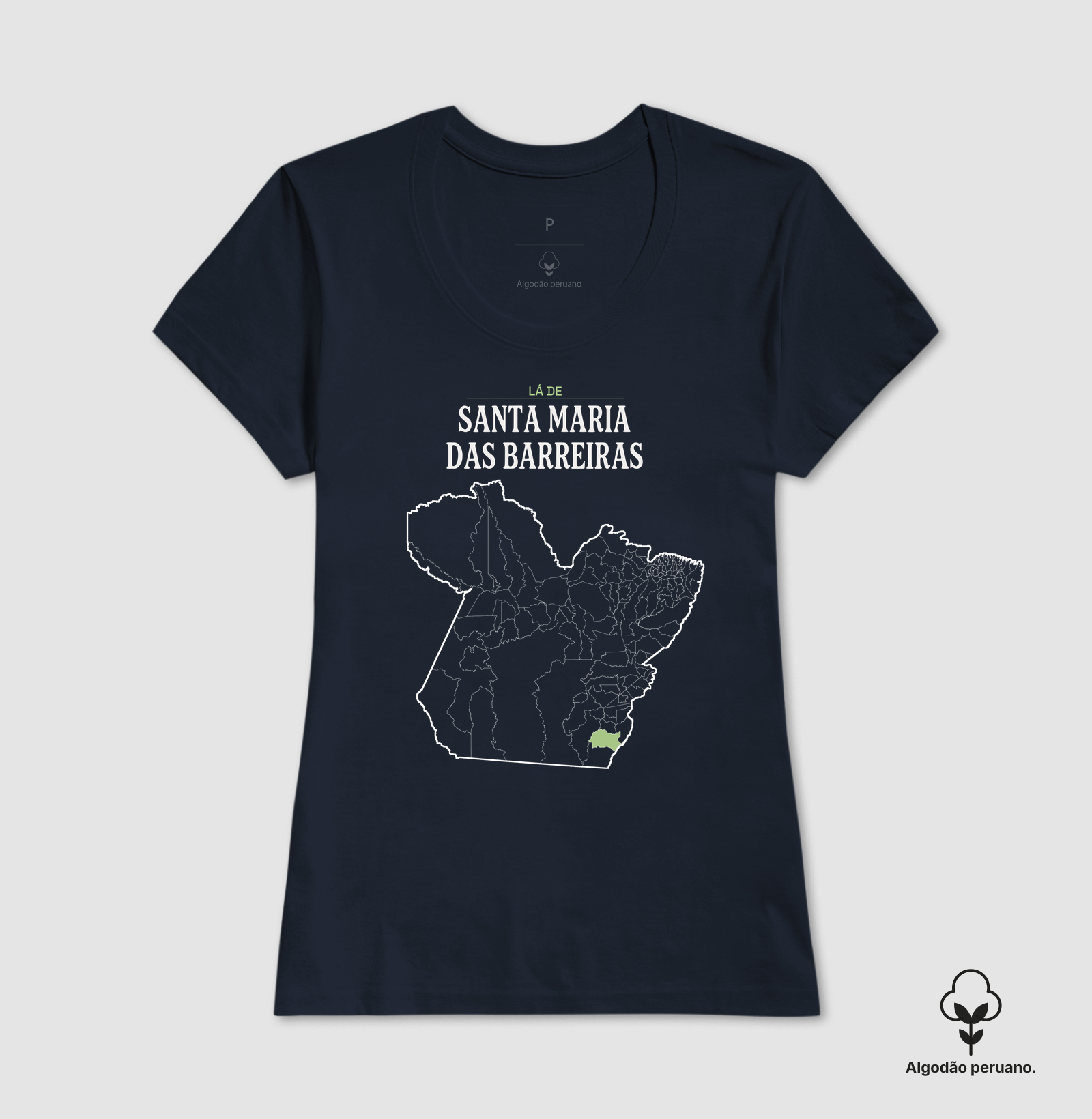Santa Maria das Barreiras | Território PA - Imagem 4