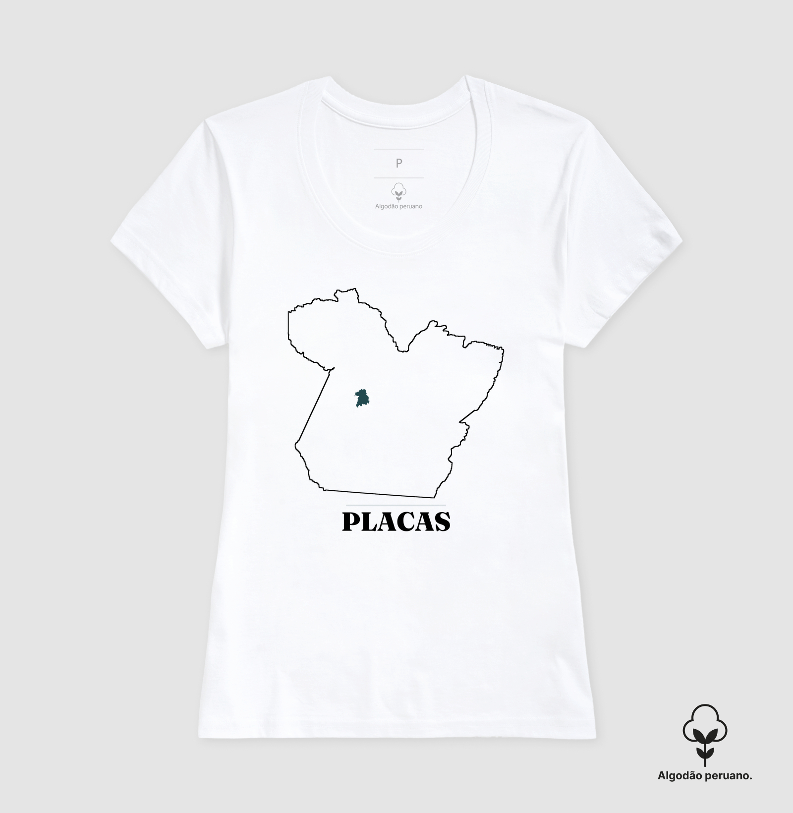 Placas | Traço PA - Imagem 5