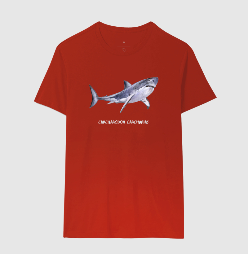 Carcharodon carcharias - Imagem 12