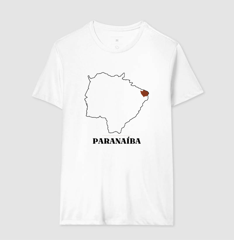 Paranaíba | Traço MS - Imagem 4
