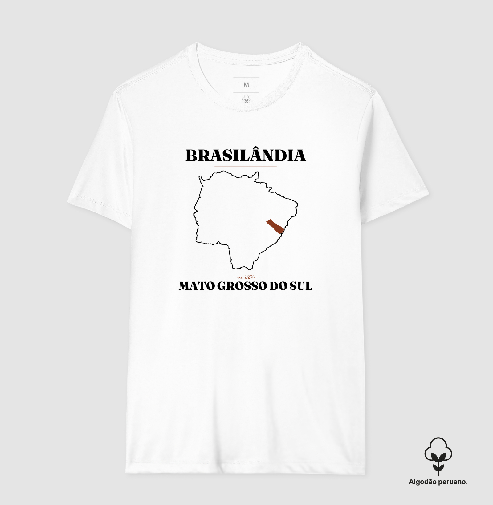 Brasilândia | Legado MS - Imagem 8