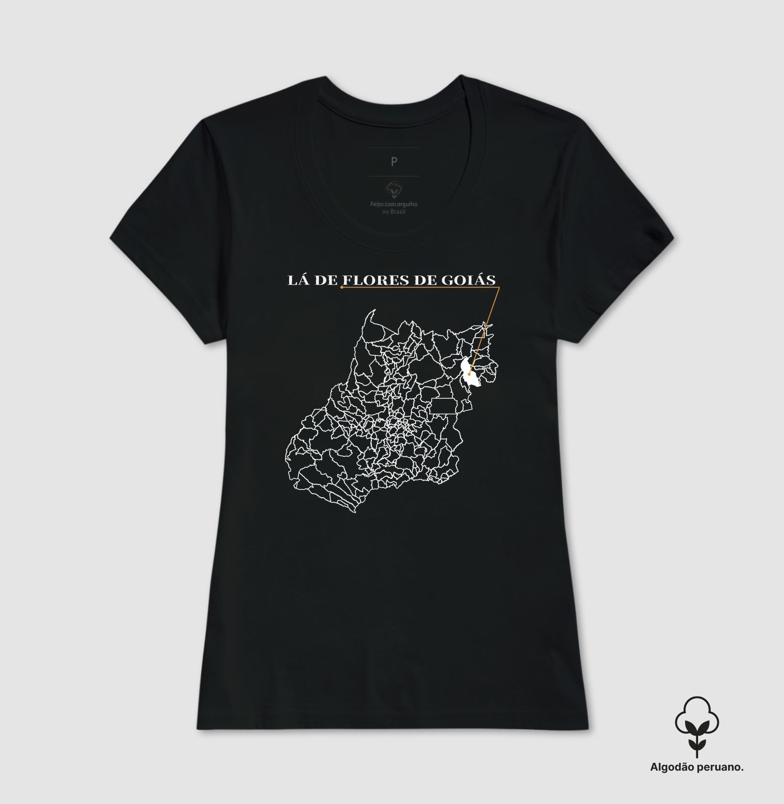 Flores de Goiás | Origem GO - Imagem 7