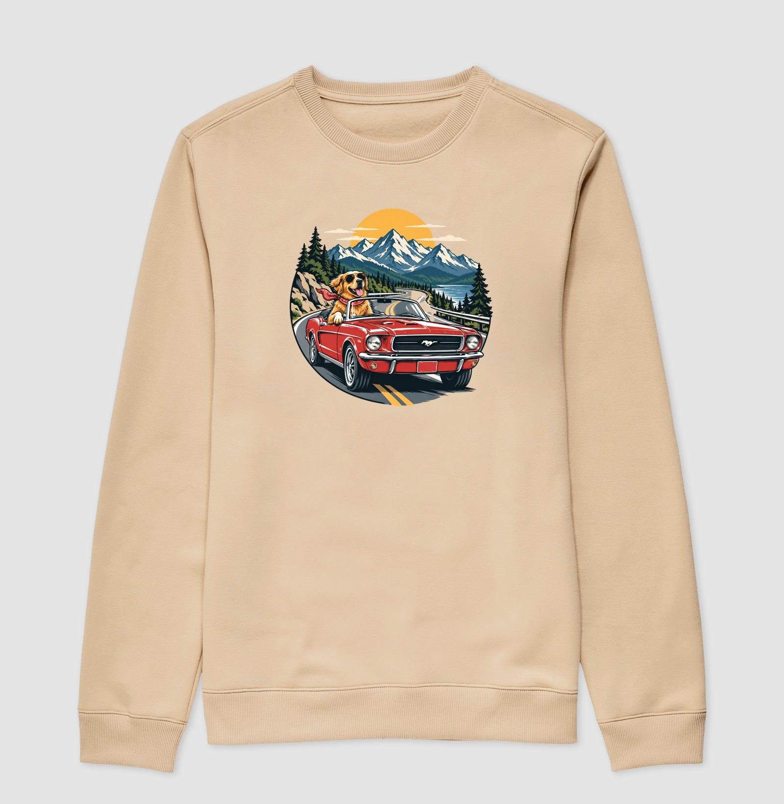 Road Trip - Imagem 3