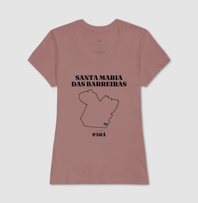 Santa Maria das Barreiras | Legado PA - Imagem 17