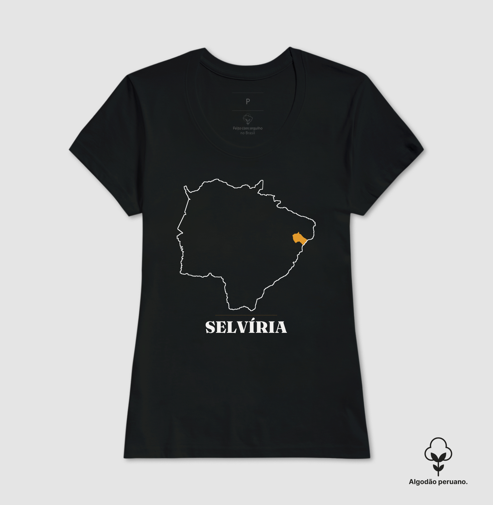 Selvíria | Traço MS - Imagem 7