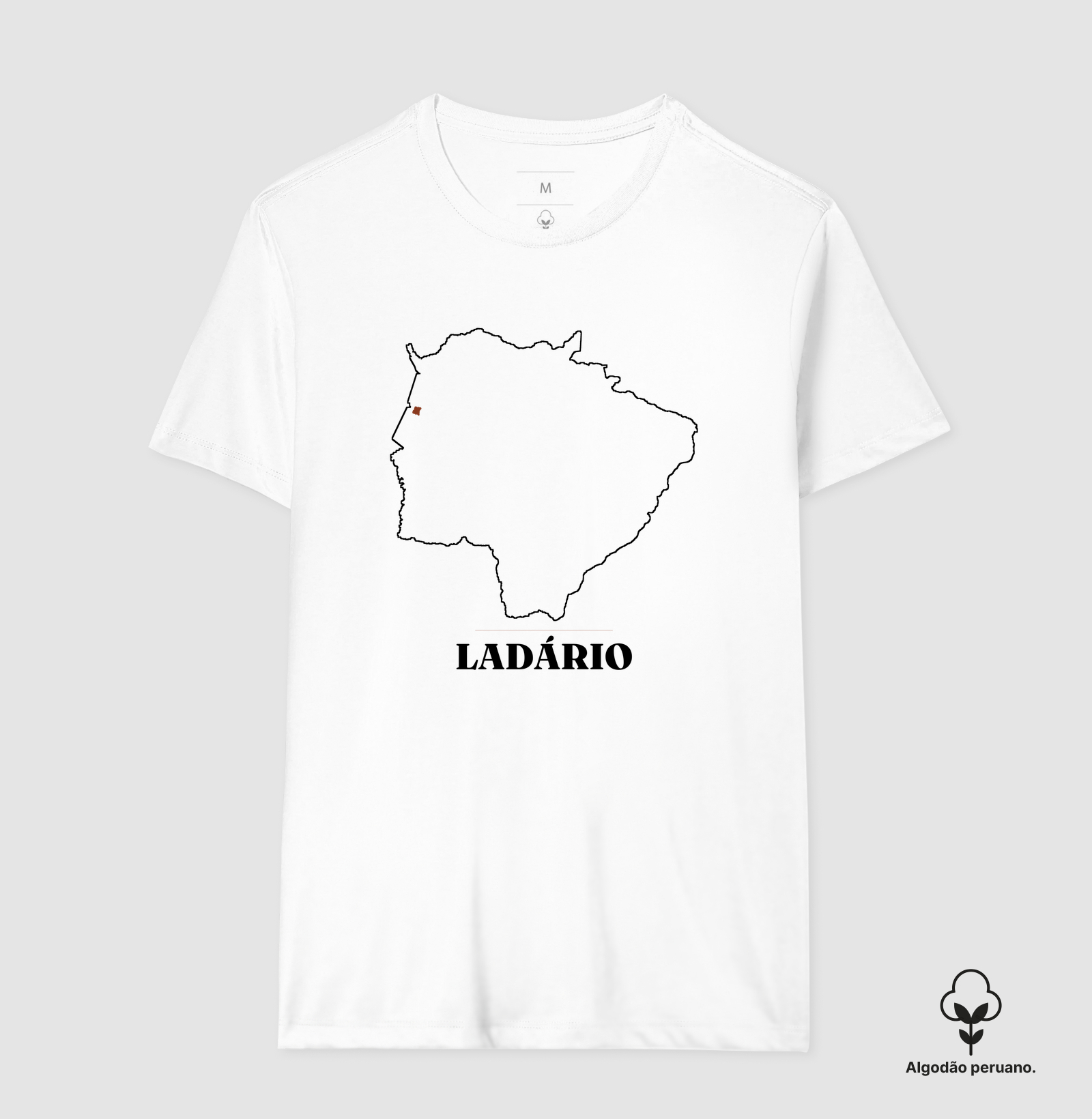 Ladário | Traço MS - Imagem 3