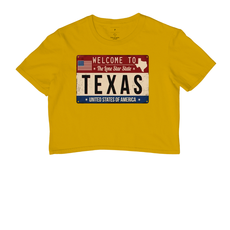 Texas (placa envelhecida) - Imagem 8