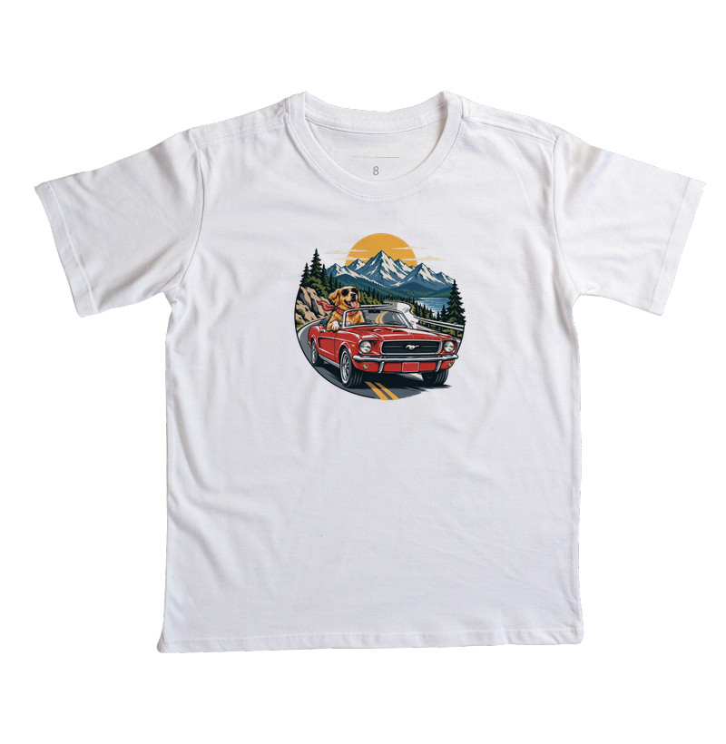 Road Trip - Imagem 2