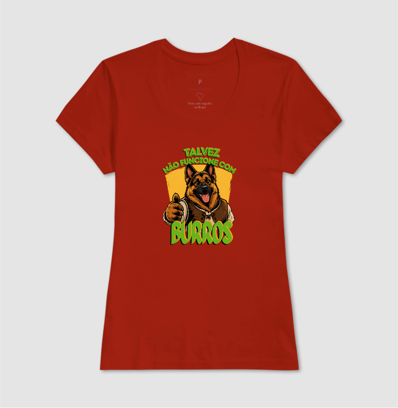 BURROS - Imagem 11