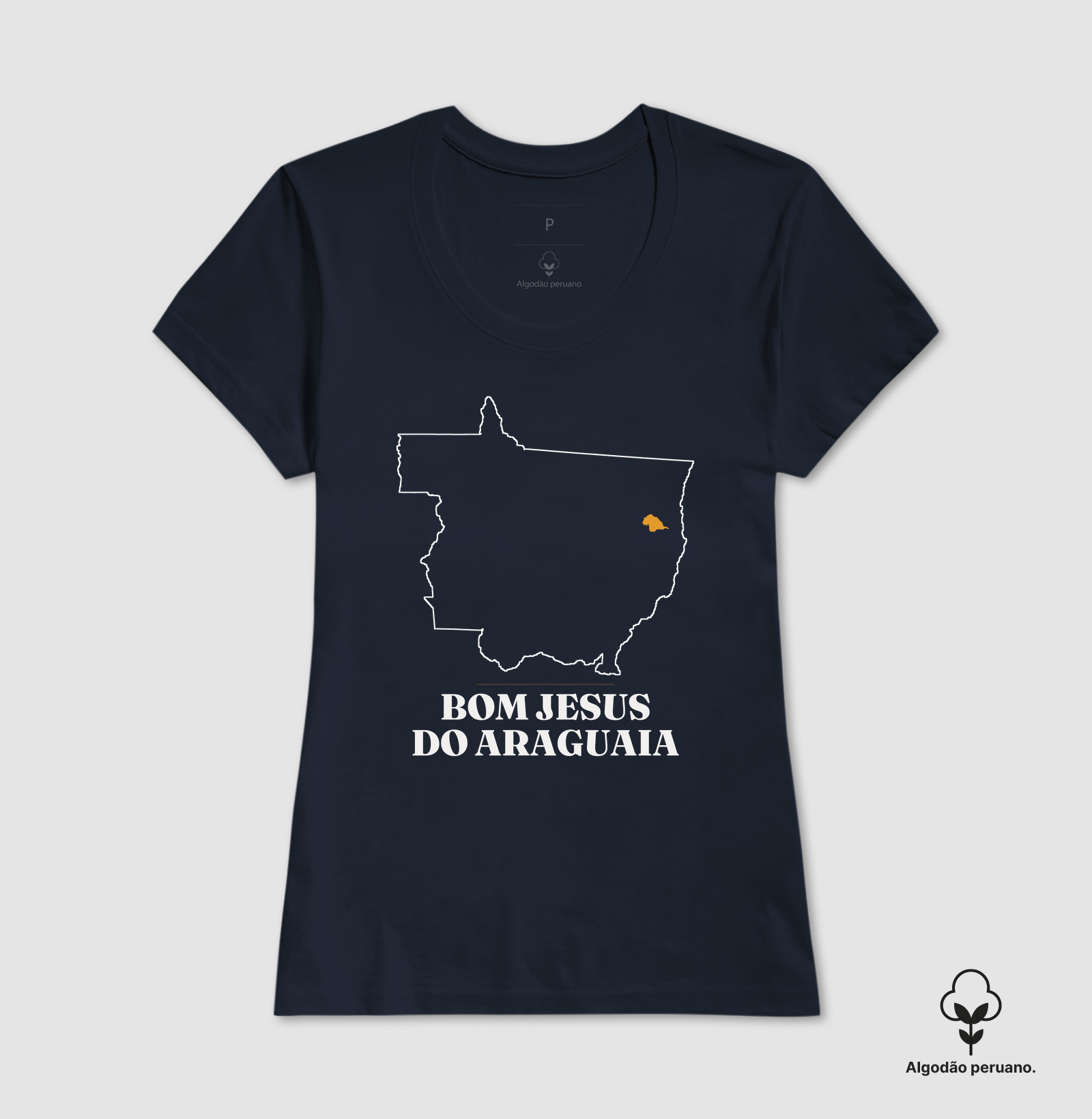 Bom Jesus do Araguaia | Traço MT - Imagem 8