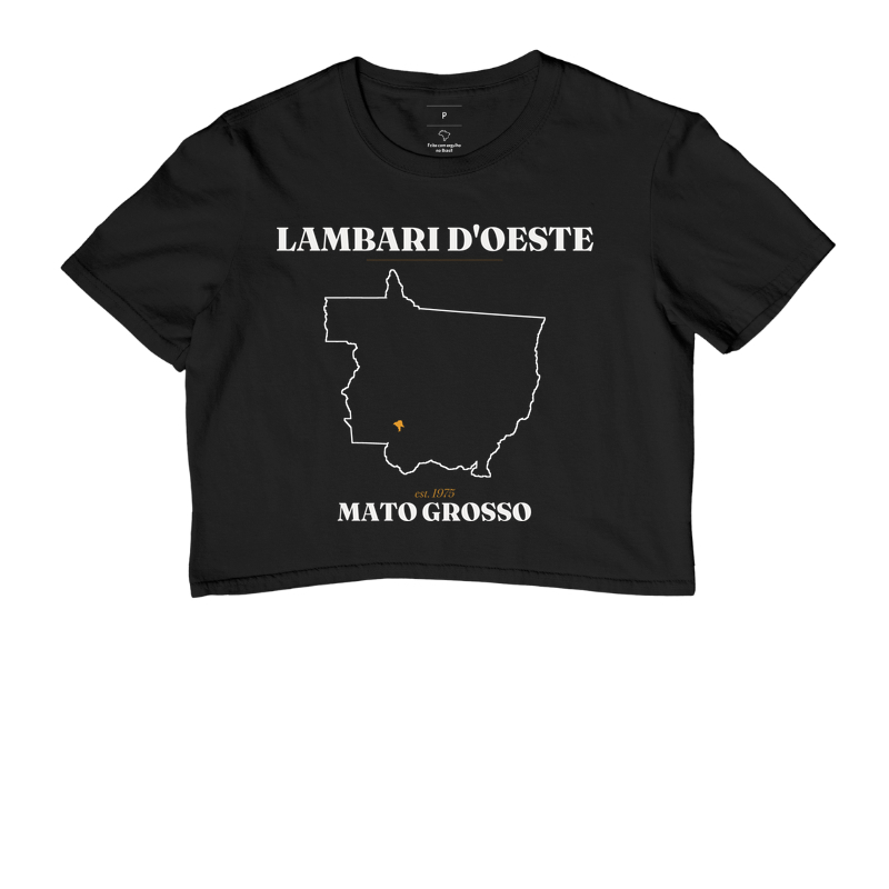 Lambari D'Oeste | Legado MT - Imagem 2