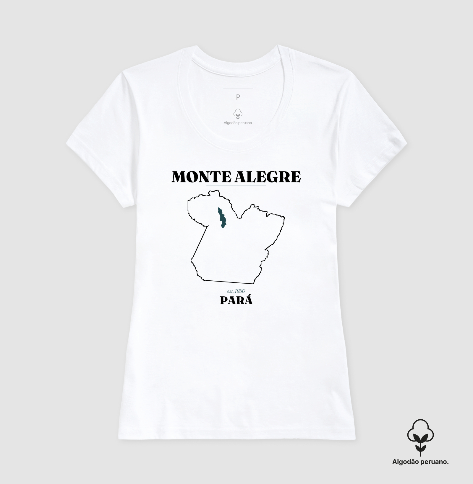Monte Alegre | Legado PA - Imagem 2