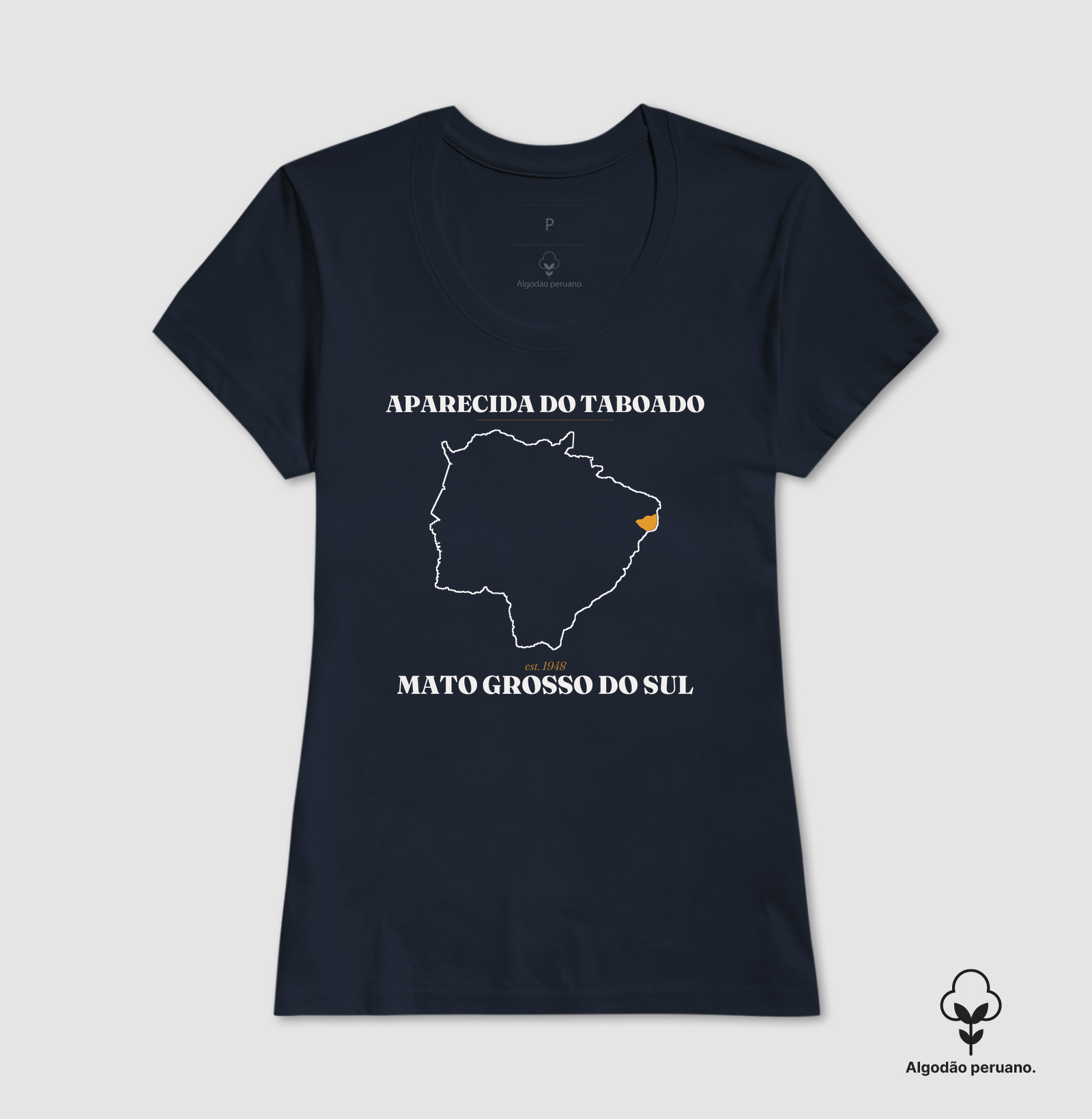 Aparecida do Taboado | Legado MS - Imagem 8