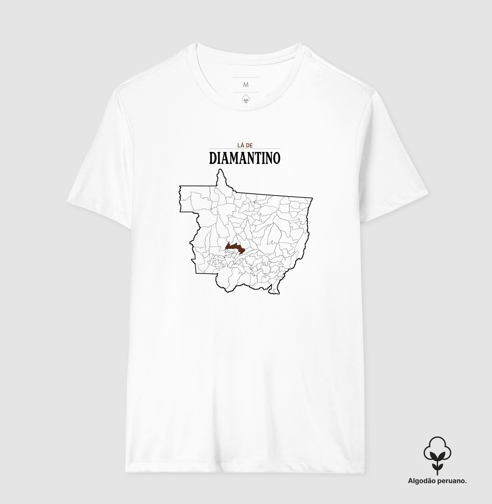 Diamantino | Território MT - Imagem 5