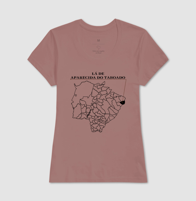 Aparecida do Taboado | Origem MS - Imagem 17