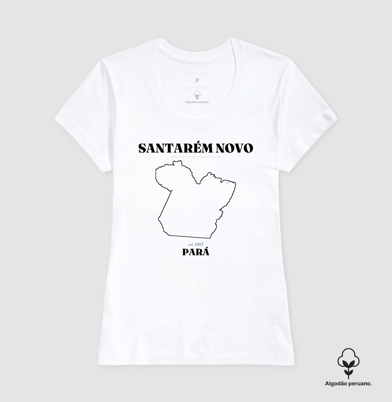 Santarém Novo | Legado PA - Imagem 3