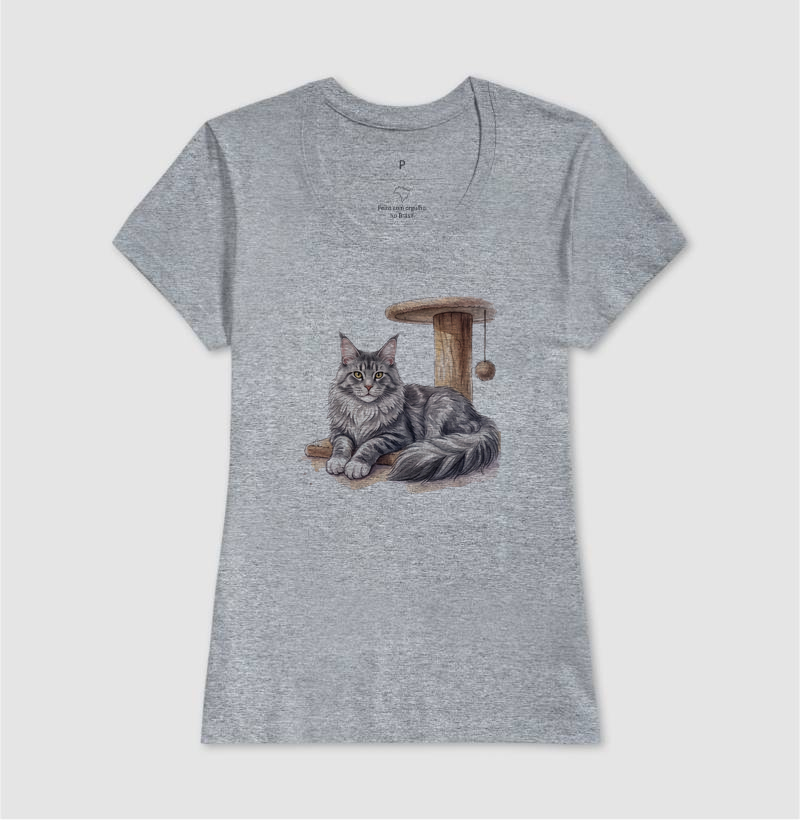Maine Coon no Arranhador - Imagem 5
