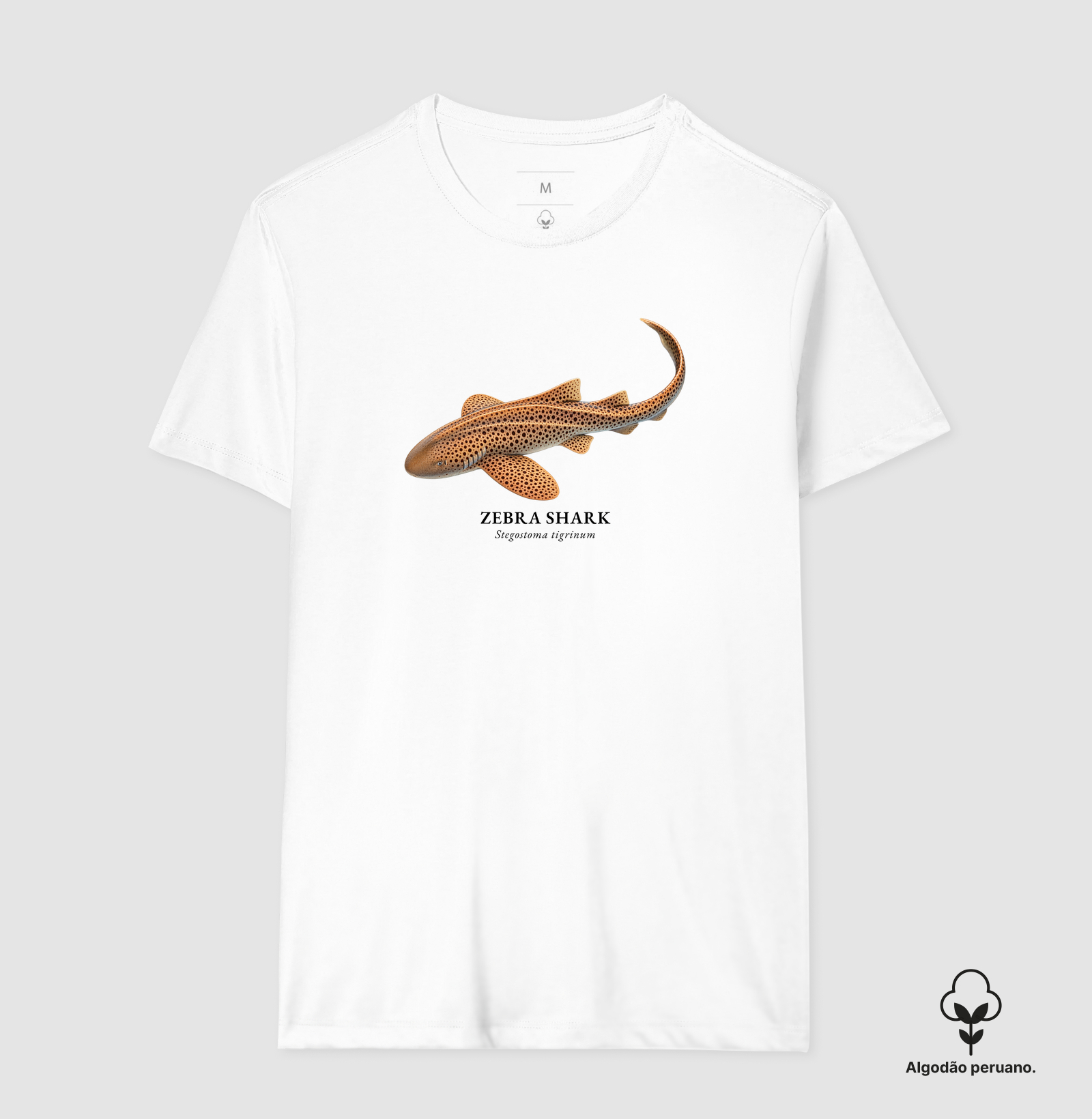Zebra Shark - Imagem 3