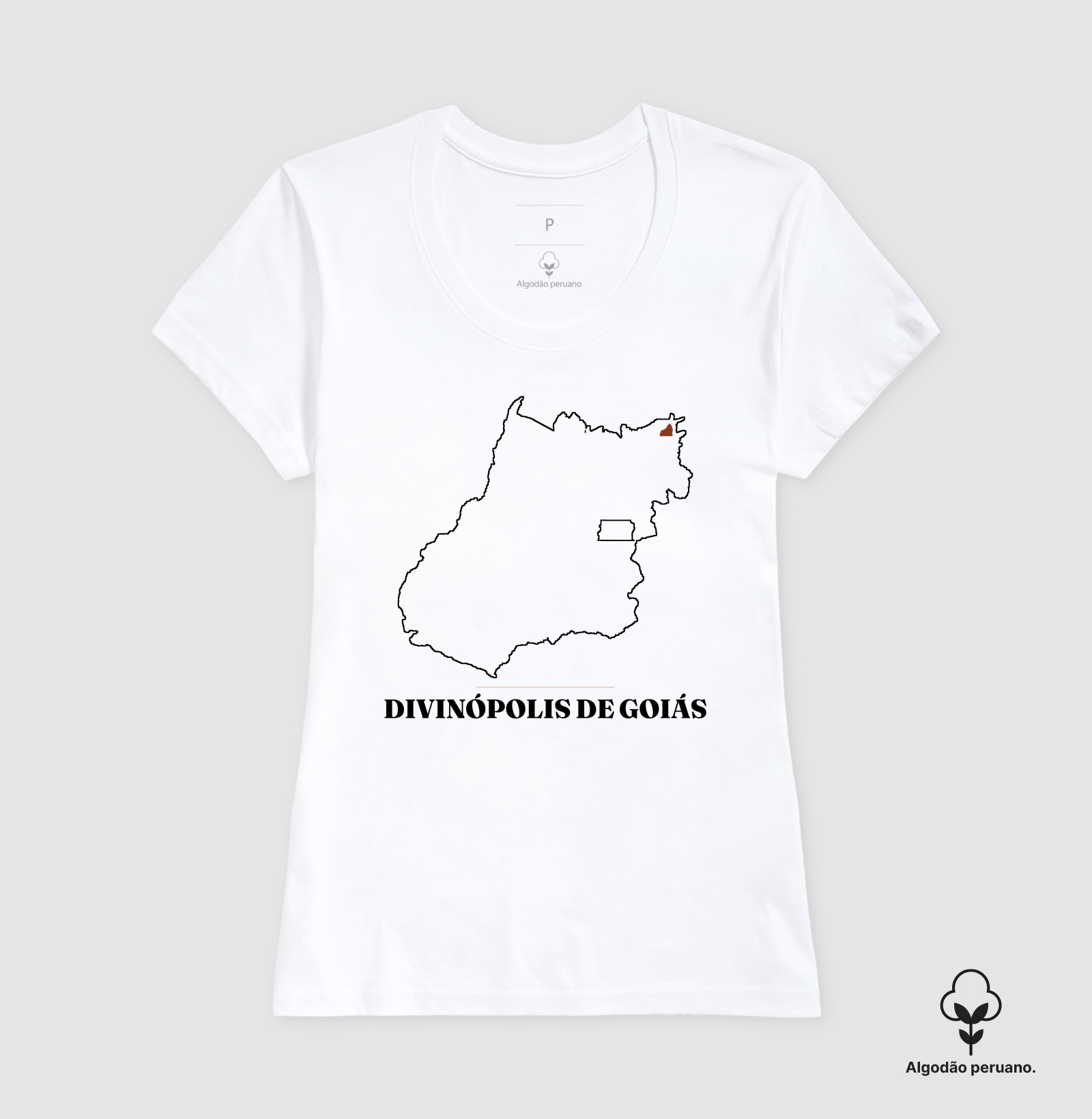 Divinópolis de Goiás | Traço GO - Imagem 7