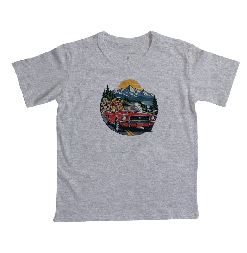 Road Trip - Imagem 3
