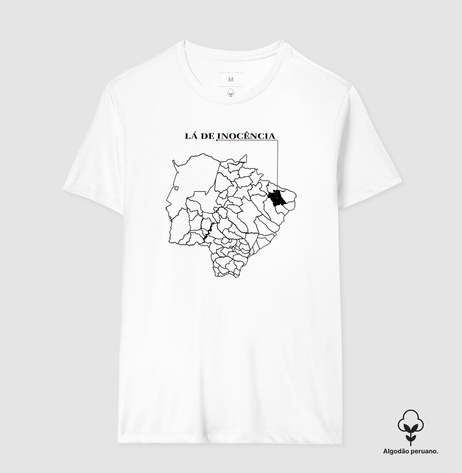 Inocência | Origem MS - Imagem 6